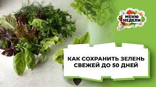 КАК СОХРАНИТЬ ЗЕЛЕНЬ СВЕЖЕЙ