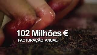 THE FLADGATE PARTNERSHIP | Vencedor - Prémios Exportação e Internacionalização 2017