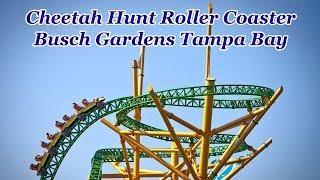 Cheetah Hunt Roller Coaster | Busch Gardens Tampa Bay | HD POV @60fps