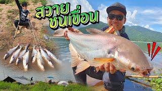 แค้มป์ปิ้งตกปลาสวายชนเขื่อน กินทั้งกลางวัน กลางคืน! Camping and Fishing