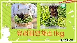 유러피안 채소 1kg 제품 리뷰와 활용 레시피 5가지