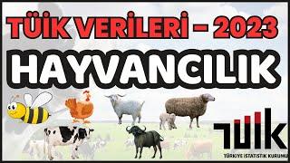 2023 TÜİK VERİLERİ - HAYVANCILIK / ENES HOCA