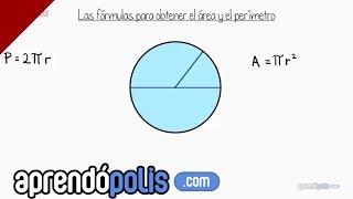 Conoce las fórmulas del perímetro y el área de un círculo