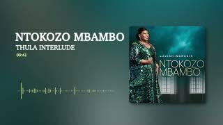 Ntokozo Mbambo - Thula Interlude [Visualizer]