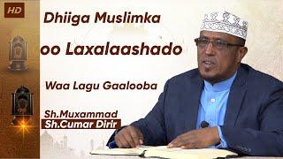 Dhiiga Muslimka Oo Laxalaashado Waa Lagu Gaalooba ll Sheekh Dirir