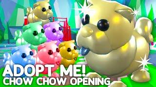 Adopt Me Chow Chow Opening! Getting The New LEGENDARY Adopt Me Pets In VIP Room Update