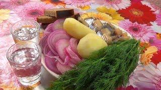 Быстро и вкусно | Маринованный лук с селедкой