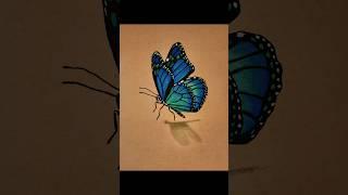 Drawing a blue-green butterfly 