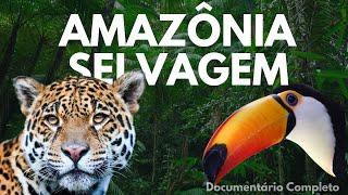 AMAZONIA SELVAGEM - PREDADORES E PROTETORES | Documentário Completo