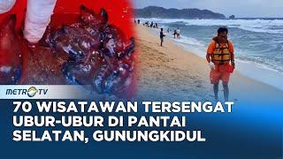 70 Wisatawan Tersengat Ubur-Ubur, 3 Diantaranya Alami Sesak Nafas