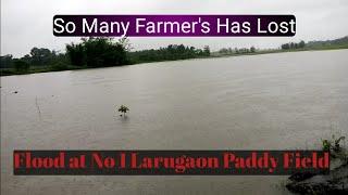 Dwi Bana दै बाना । Flood at Paddy Field । Mai Gaonayao Koha Labwnai View । Jaba Daja Bodoni Creator