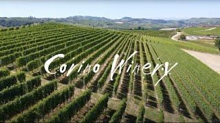 Italian wine tour in La Morra - Farming and winery history with the Corino family