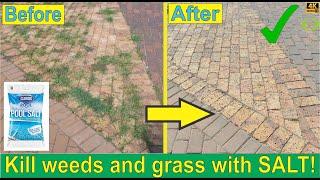 How to Kill Weeds and Grass on Paving Naturally Using Salt - Organic and Safe