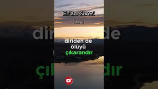 En'âm Suresi meali 95.Ayet Surenin tamamı kanalımda #kuran #quran #muslim #islam #namaz