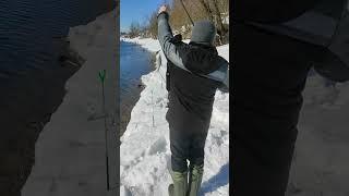 Дождались рыбу за три часа #рыбалка #рыбаки