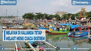 Berita Lampung - Nelayan di Kalianda Tetap Melaut Meski Cuaca Ekstrem @TRIBUNLAMPUNGNEWSVIDEO