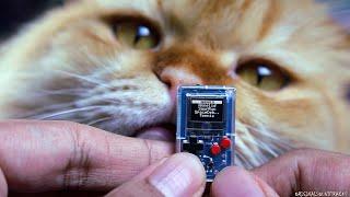 THUMBY AND TINY TV 2 REVIEW | WORLD'S SMALLEST GAMEBOY | MICRO HANDHELD | TINY CIRCUITS