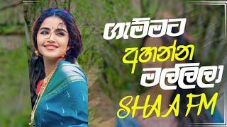 Sha Fm Sindu kamare 2024 New Songs | Tik Tok viral Nonstop | New Trending Songs Alone Tunes