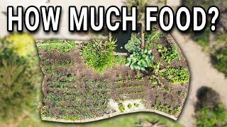 1 Year of Growing Food - A whole season of vegetable gardening