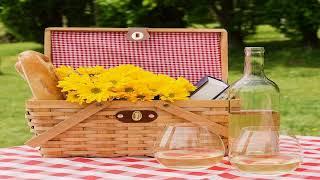 Best picnic basket 2023