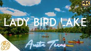 Lady Bird Lake Austin Texas Kayak Tour Downtown 4k Austin Outdoor Activities