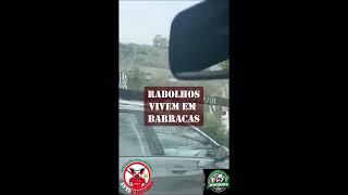 Rabolhos vivem em barracas