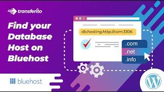 How to find your Database host on Bluehost | WordPress Migration Plugin Transferito