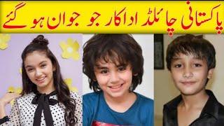 6 Pakistani Superstar Who Started as Child Actors | Inspiring Journeys of Stardom 