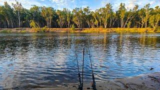 Murray River Fishing: EPIC Silver Perch Bite Window After The Storm
