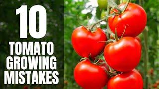 10 Tomato Growing Mistakes That Most Gardeners Make (EASY TO FIX)