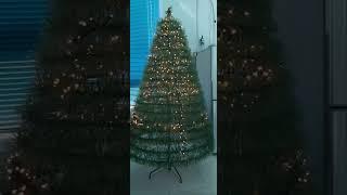 Eco-friendly Christmas Tree