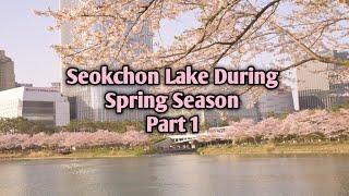 Spring Season at Seokchon Lake Seoul South Korea Part 1  @mjcphotography9889