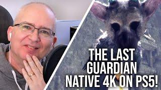 The Last Guardian - Native 4K up to 60FPS on PlayStation 5!