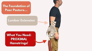 Powerful Posture Starts with Your PROXIMAL Hamstrings