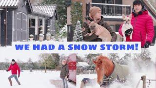 STABLE TOUR AFTER SNOW STORM + HORSES PLAY IN THE SNOW FOR THE FIRST TIME