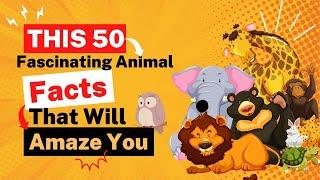 This 50 Fascinating Animal Facts that will amaze you | Animal fact | satisfying