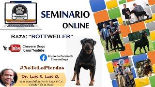 ROTTWEILER | SEMINARIO ONLINE | FEAT. DR. LUIS LUIS | #CHEVEREDOGS