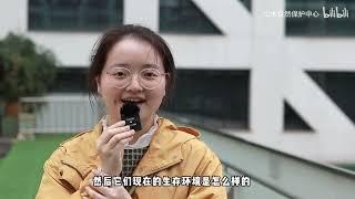 成都市民街访：普通人怎样参与生物多样性保护？