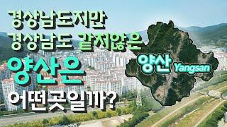 [양산] 경상남도지만 경상남도 같지않은 양산시는 어떤 곳일까? 자세하게 알아보자!