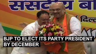 BJP to elect its party president by December