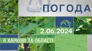 Прогноз погоди в Харкові та Харківській області на 2 червня