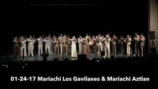 05-24-17 Mariachi Los Gavilanes & Mariachi Aztlan de UTRGV