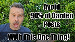 This ONE THING Gets Rid of 90% of Pest Damage in Your Garden.