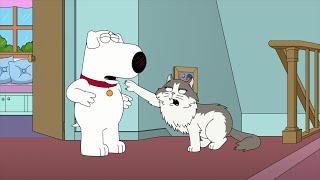 Family Guy - Pouncy can talk