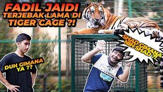 KOCAK BANGET ! FADIL JAIDI KETAKUTAN MASUK TIGER CAGE ! ESHAN JINORA SAMPE SUSAH MASUK KANDANG !