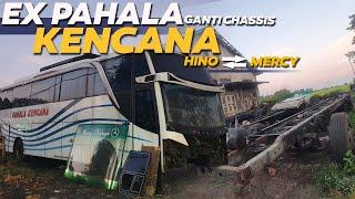 EX PAHALA KENCANA GANTI CHASSIS DARI HINO JADI MERCY ‼️ JADI MILIK SIAPA NANTI...