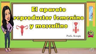 Aparato reproductor femenino y masculino