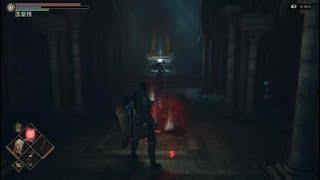 Demon's Souls Remake Epic Boss Fight Old King Doran