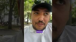 "И вороны приносили ему хлеб и мясо, а из потока он пил." (3 Цар.17:6)
