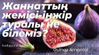 Жаннаттың жемісі-інжір туралы не білеміз?#Gulnaz Amantai